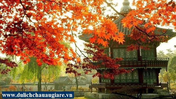 Du lịch Hàn Quốc: SEOUL – NAMI – EVERLAND (5N4Đ)